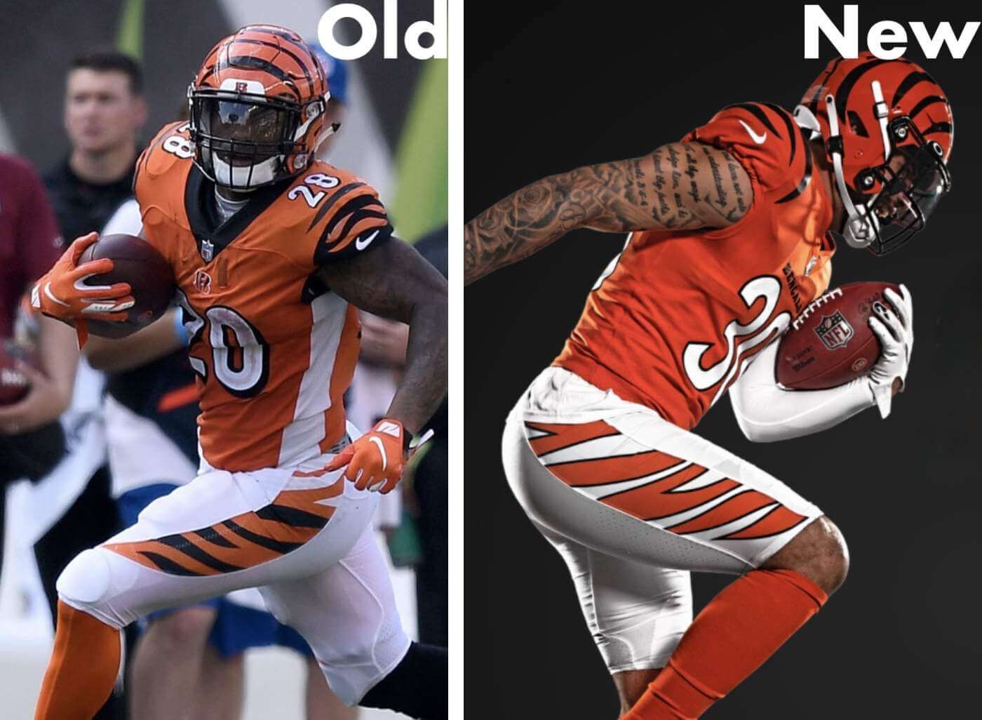 SOT: Bengals #5